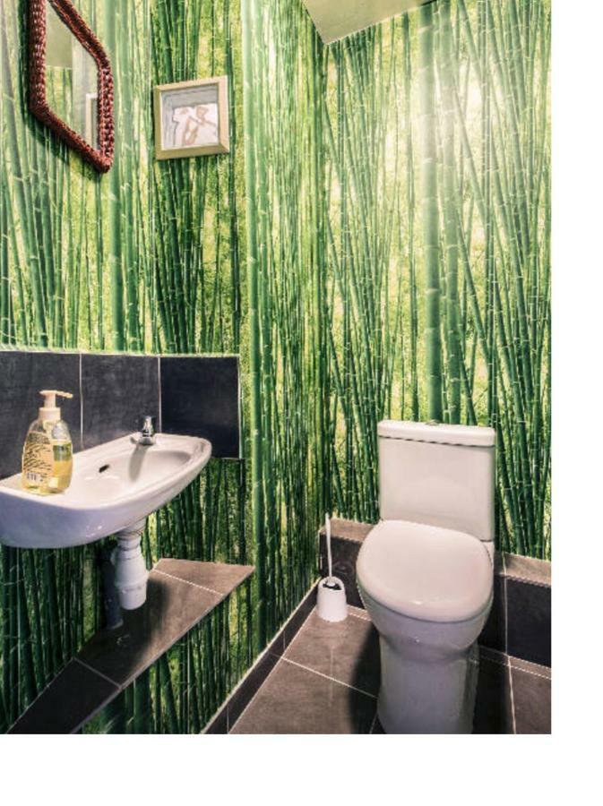 Duplex Sous Les Toits Daire Palau-del-Vidre Dış mekan fotoğraf